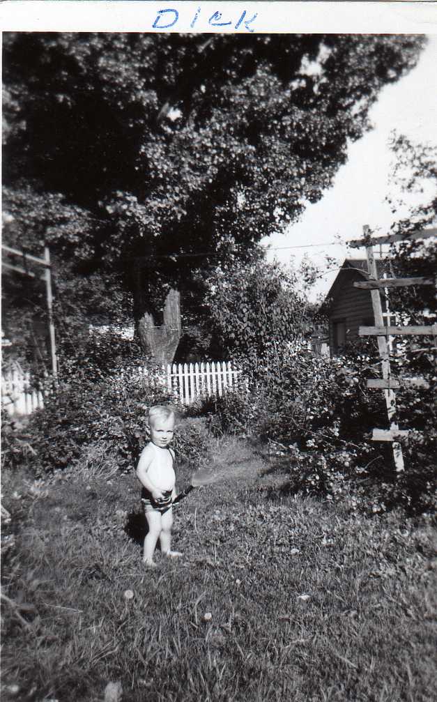 Image 50